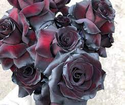 Black Rose